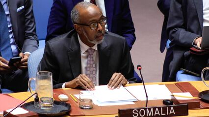 UN Security Council members condemn Israel’s recognition of Somaliland