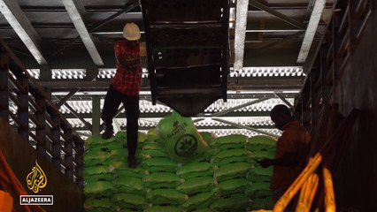 Iran war food security impact: Shortages inflating price of fertilizers in Nigeria