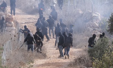 Palestinian olive trees torched as settler pogroms escalate during harvest
