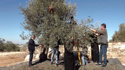 Reviving Ouneh: Palestinians unite against settler attacks