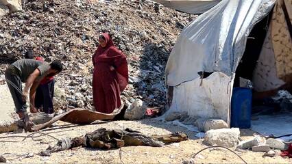 Palestinian families displaced from Gaza City by Israeli assault forced to shelter on landfills