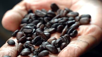 Ethiopian coffee farmers struggle with costly EU origin regulations