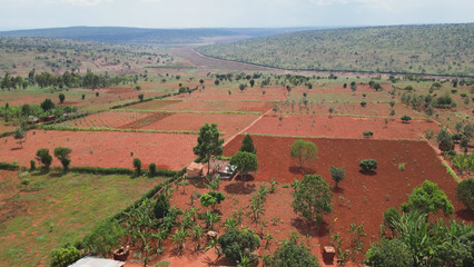 Burundi faces droughts, floods, and mudslides, worsened by deforestation