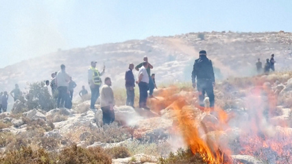 Palestinians confront Israeli settlers over land grab near Hebron