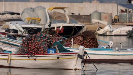 Israel kills fishermen: Israeli drone targeted two people on a beach in Tyre
