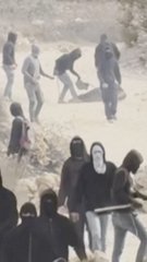 Israeli settlers assault Washington Post photojournalist in olive harvest rampage