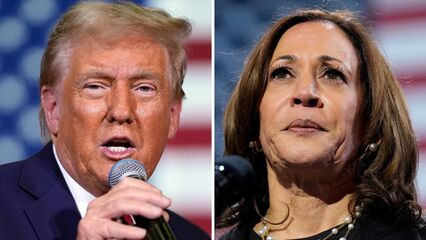Tight race in Michigan: Harris and Trump fight for every vote in swing state