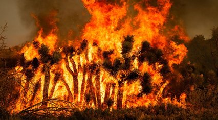 Extreme weather becoming the new normal in the US | This is America
