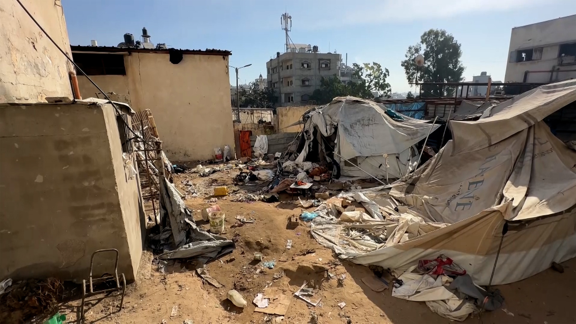 Updates: Israel kills 91 including Palestinians trying to escape Gaza City  | Israel-Palestine conflict News | Al Jazeera