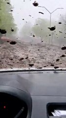 Driver films from inside vehicle as car swept away in Chile floods