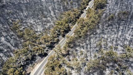 Frequent wildfires reshape Turkiye’s Aegean coast, threatening rural livelihoods and culture