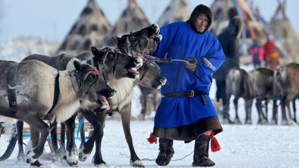 Finland’s Indigenous Sami people facing threats to their traditional way of life