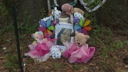 Man arrested over killing of Tasia Fortune, found hanging from a tree last month