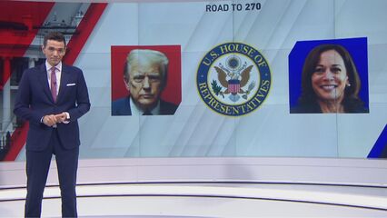 Race to 270: Harris and Trump's battle in key swing states | Explainer