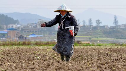 China restricts fertiliser exports as US-Israel war on Iran deepens global supply crisis