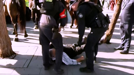 Police clash with pro-Palestinian protesters at Sydney defence expo