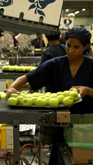 South African fruit exports face delays as Iran war disrupts global shipping routes 