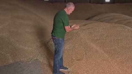 Ukraine farmers struggle as Russia's Black Sea blockade traps their grain
