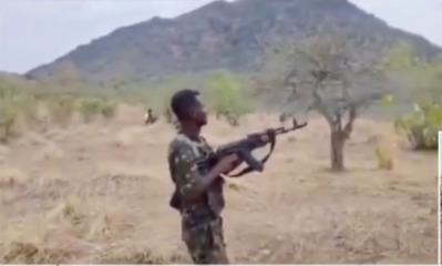 Sudan's Blue Nile State: 
Army recaptures vital area in volatile region
