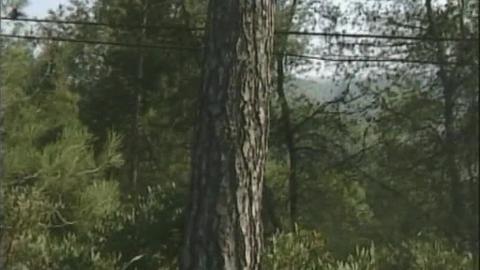 Una imagen de archivo del acusado en 2005