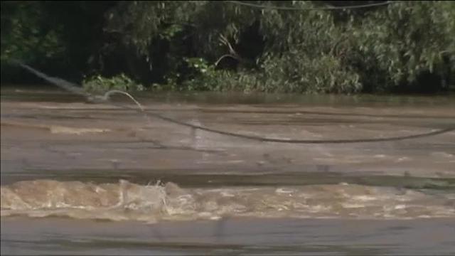 LA dueña de una vaca, muerta tras las inundaciones provocadas por el ciclón Debbie, llora junto al cadáver del animas en North MacLean, Brisbane