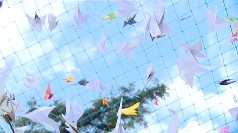 Miembros de WWF han soltado una bandada de miles de pajaritas de papel frente al Congreso de los Diputados