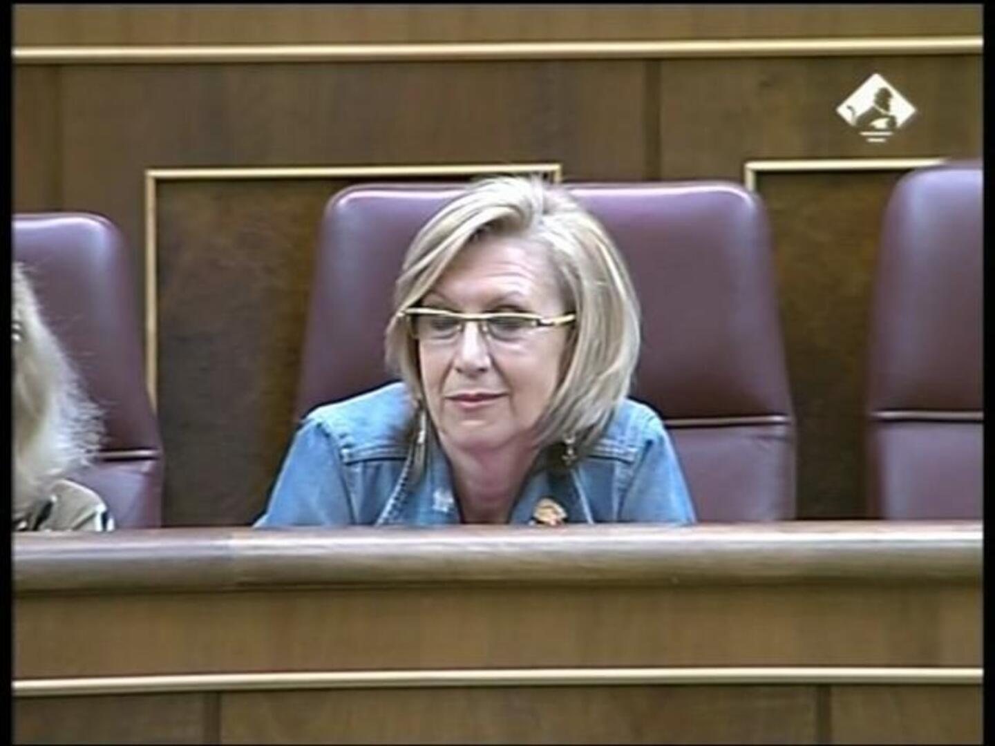 Alta tensión entre Rubalcaba y Rosa Díez