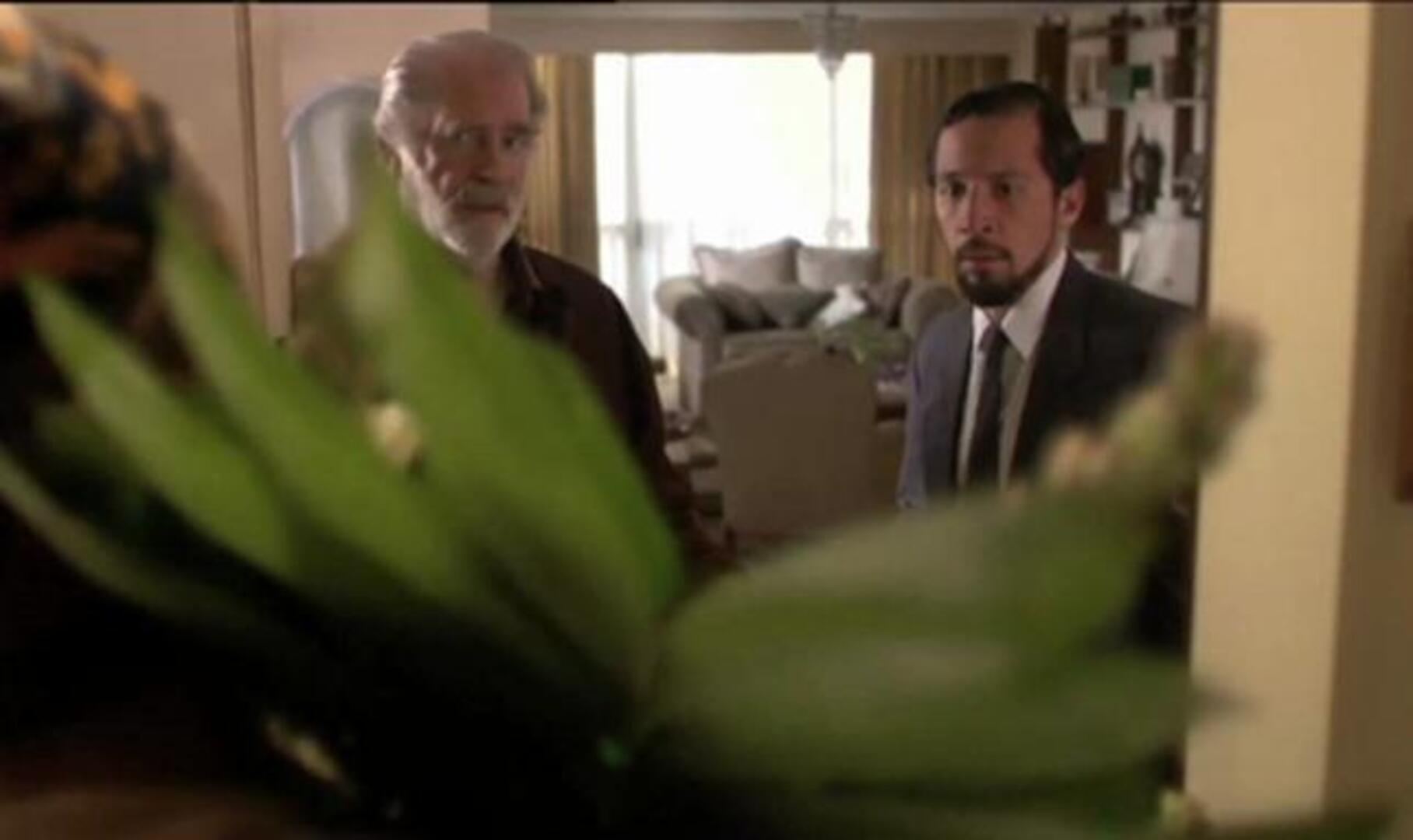 Críticas de los estrenos del viernes 15