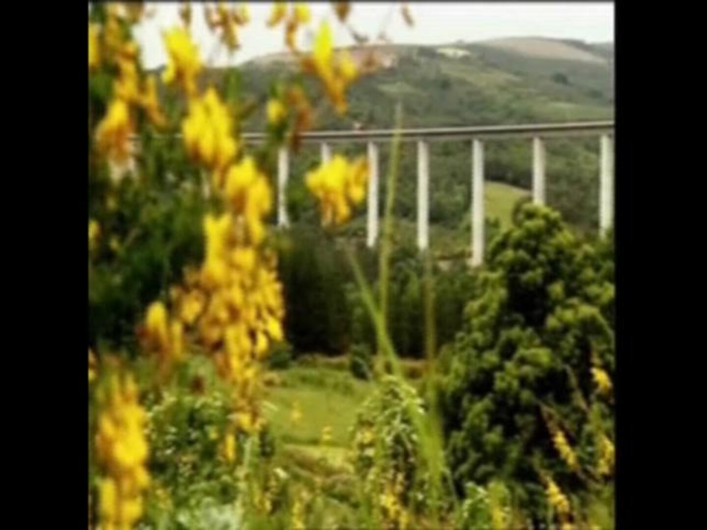 El Rey viaja a Rusia, donde España aspira a un «súper AVE»