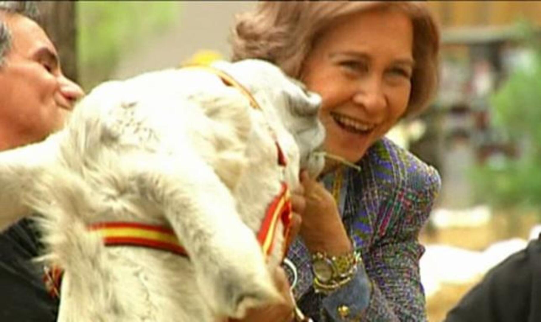 La pasión de la Reina por los animales