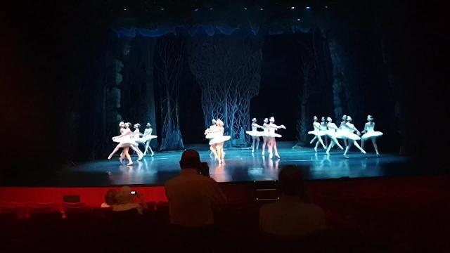 &#039;El Lago De Los Cisnes&#039; llega a los Teatros del Canal