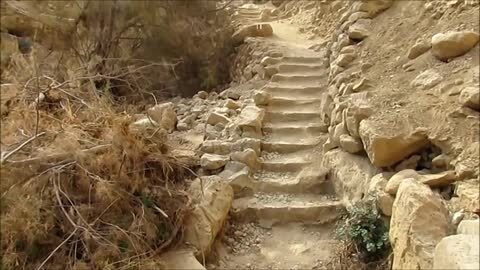 El pergamino, conocido como «Rollo de En-Gedi»