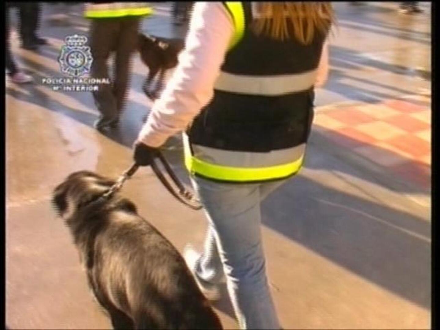 Roco, Vero y Liri, expertos en la «caza» del dinero negro