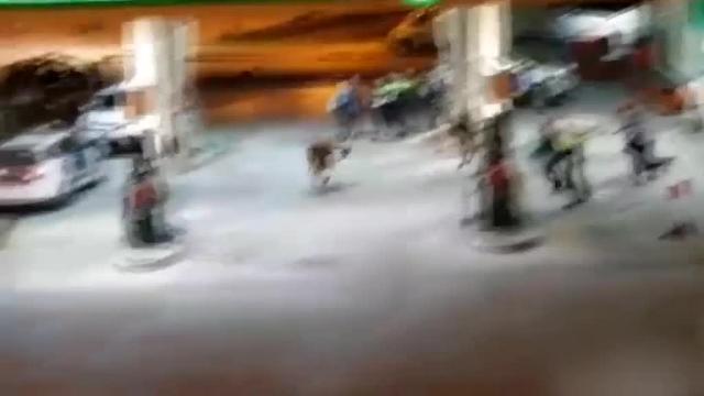 Un hombre perturbado amenaza con un cuchillo y una motosierra a varios agentes en Palafruguell