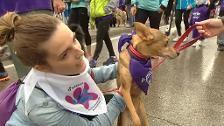 Madrid acoge la décima carrera del Perrotón