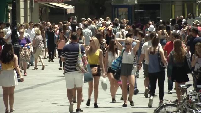 Los mosquitos ya se pueden controlar desde el móvil