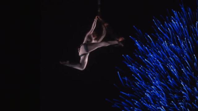 La IV Edición de los Premios Compromiso  ya tiene ganadores.