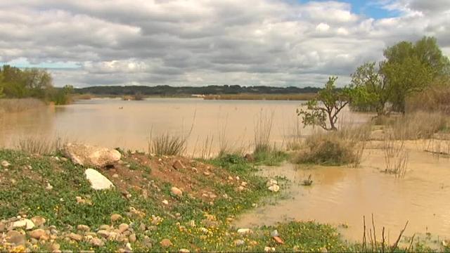 El río Ebro podría llegar a alcanzar los 8 metros de altura en varios puntos de su cauce