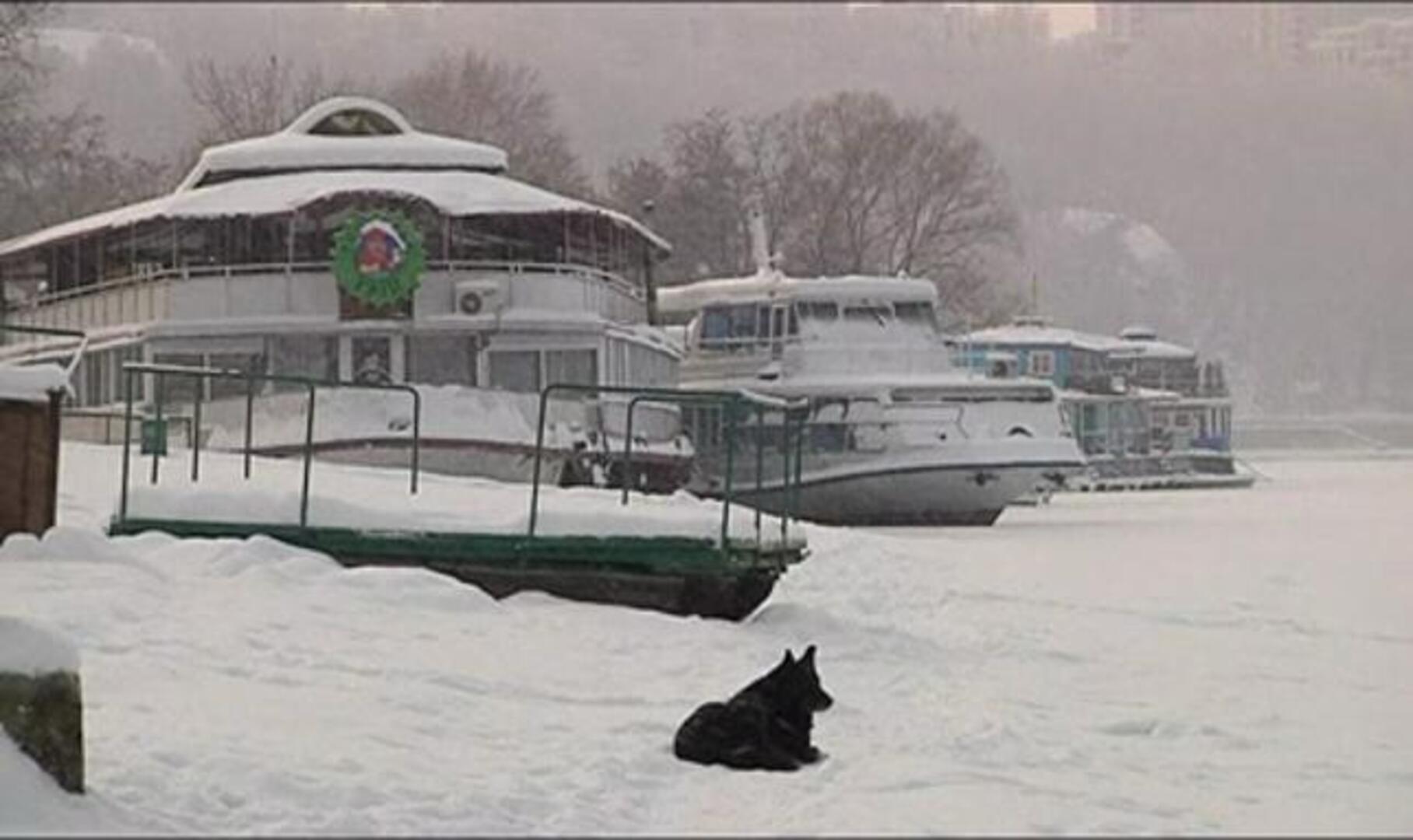 Asciende a 83 el número de muertos por la ola de frío en Ucrania