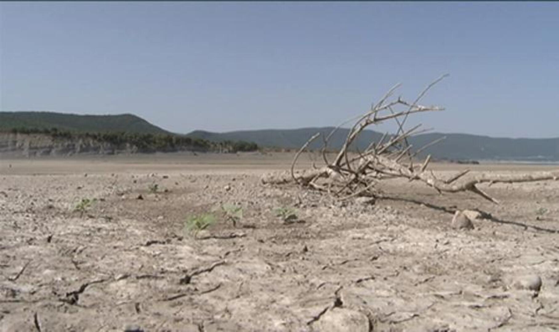 Tesoros ocultos bajo los pantanos