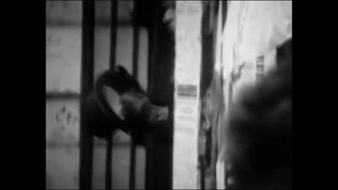 El cntante Bob Dylan en un concierto en 2009