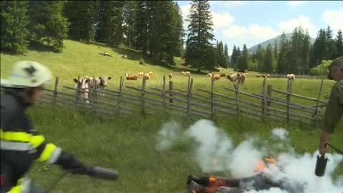 El perro más grande del mundo o el hombre que resiste al fuego, nuevos récord Guinness