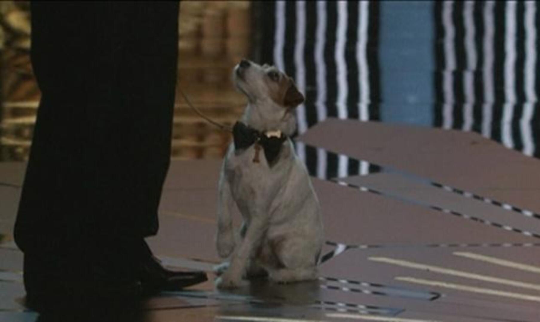 Lista completa de ganadores de la 84 edición de los Premios Oscar 2012