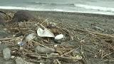 Se pone en marcha la inciativa ‘Para que la basura no llegue al mar’