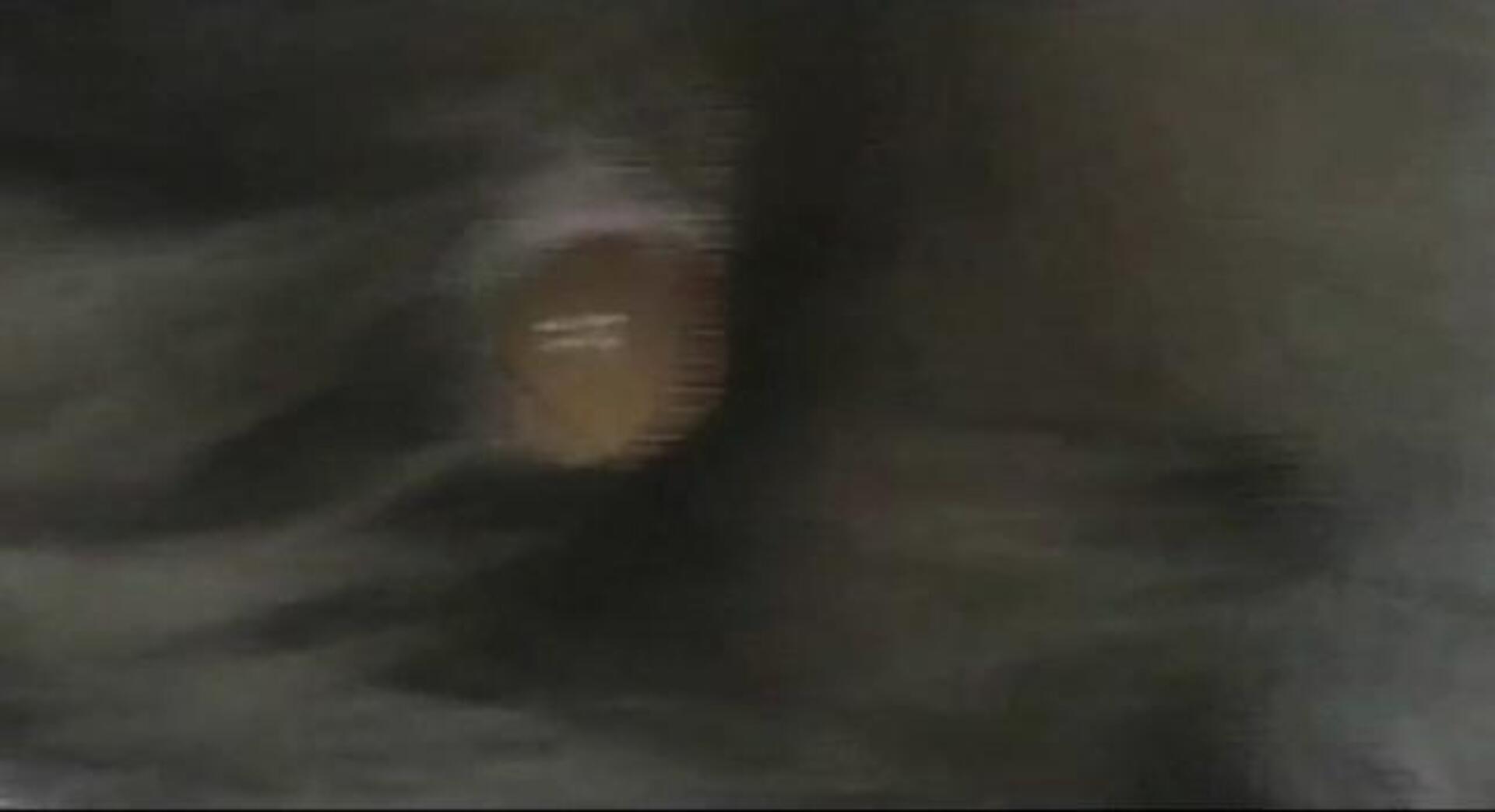 Así nace un oso panda