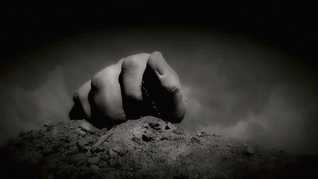 Vídeo: U2 actuarán en Barcelona el 18 de julio