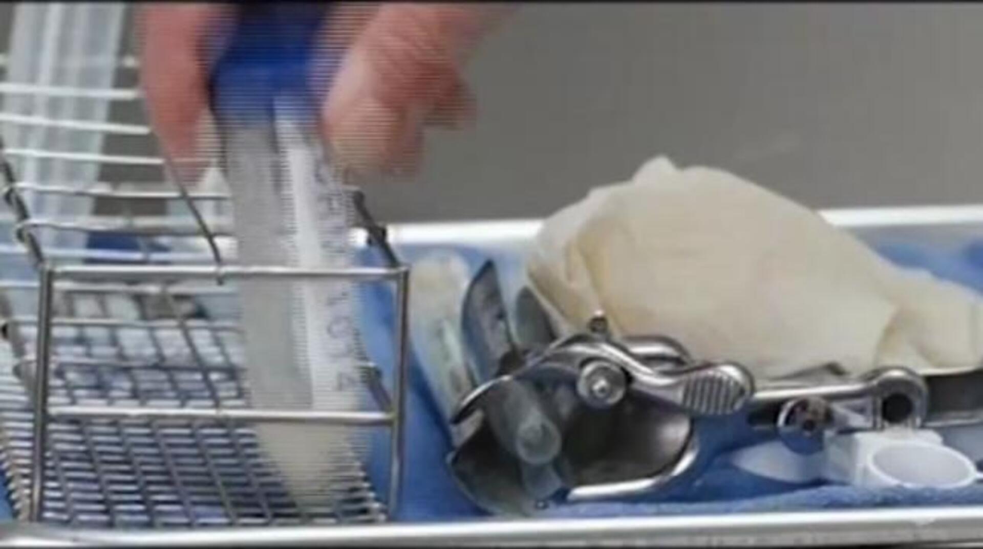 Jennifer López producirá una serie de lesbianas