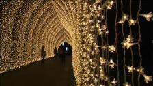 Falta casi un mes para la Navidad y ya se han encendido las luces del Real Jardín Botánico de Londres