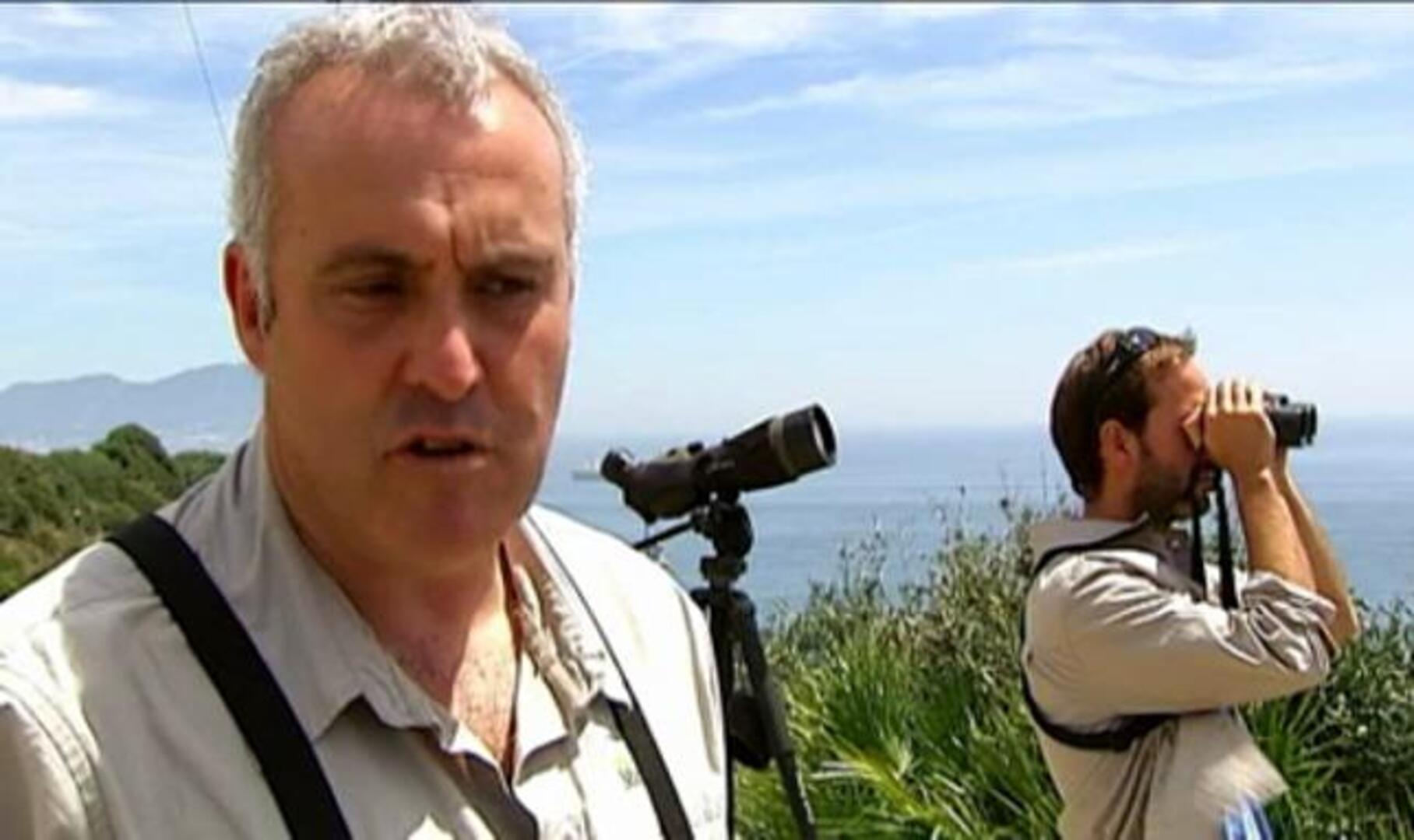 Hay 1.800 especies de aves migratorias