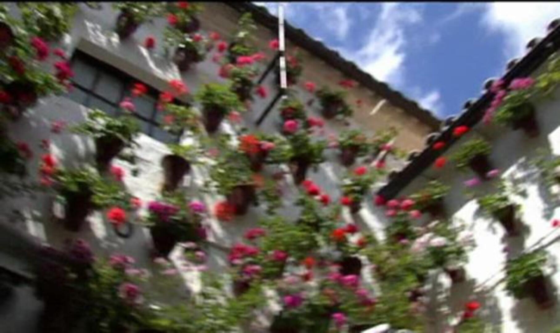 La Unesco declara los Patios de Córdoba patrimonio inmaterial de la humanidad